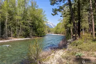 225C Lost River Rd, Mazama, WA 98833 - Photo 3