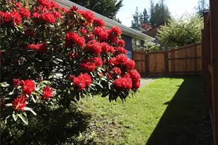 1105 S I St, Port Angeles, WA 98363 - Photo 29