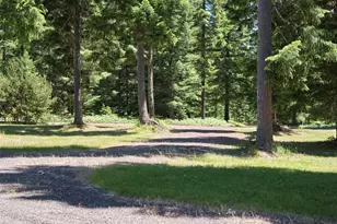 502 Loowit Ln, Cougar, WA 98616 - Photo 3