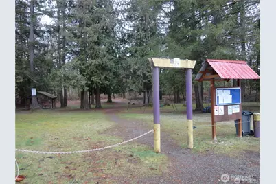 41819 S Shore Drive, Concrete, WA 98237 - Photo 35