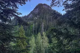 17800 Alpental Access Road SE, North Bend, WA 98045 - Photo 5
