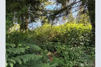 2229 97th Street SE, Lake Stevens, WA 98258 - Photo 3