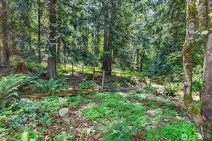 21005 197th Ave E, Orting, WA 98360 - Photo 31