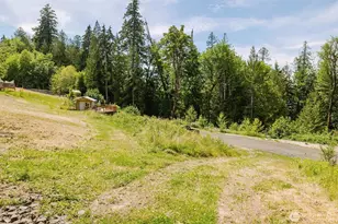 200 E Cove Dr, Belfair, WA 98528 - Photo 29