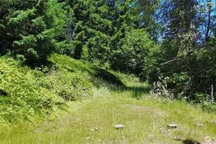21621 186th St E, Orting, WA 98360 - Photo 25