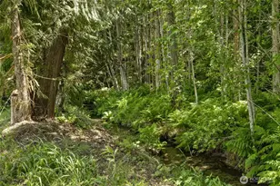 1631 Old Cedars Rd, Cle Elum, WA 98922 - Photo 23