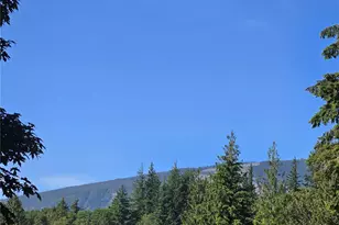 43106 177th St SE, Gold Bar, WA 98251 - Photo 39