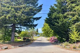 20 W Freedom Ln, Shelton, WA 98584 - Photo 19