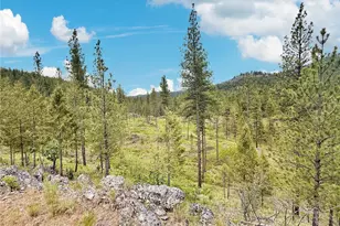 1942 Lyman Lake-Moses Meadows Rd, Tonasket, WA 98855 - Photo 33