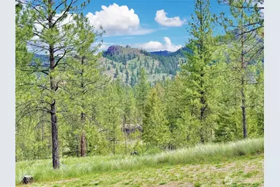 1942 Lyman Lake-Moses Meadows Road #A, Tonasket, WA 98855 - Photo 31