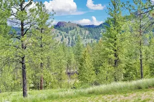1942 Lyman Lake-Moses Meadows Rd, Tonasket, WA 98855 - Photo 31