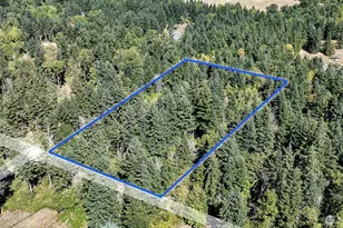 16138 Chuckawa Ln SE, Yelm, WA 98597 - Photo 13