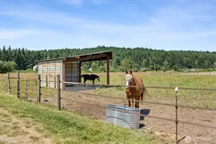 21110 Bucoda Hwy SE, Centralia, WA 98531 - Photo 35
