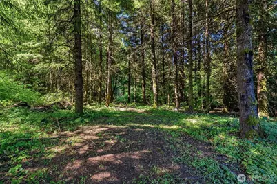 210 Webster Lane, Woodland, WA 98674 - Photo 39