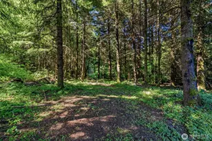 210 Webster Ln, Woodland, WA 98674 - Photo 39