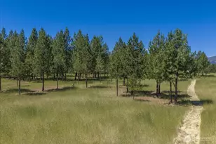 6472P Enterprise Rd, Fruitland, WA 99129 - Photo 35