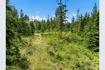1 Andy Rogers Place NW, Seabeck, WA 98380 - Photo 13