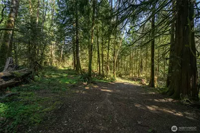 350 Cheetah Lane, Sedro Woolley, WA 98284 - Photo 7