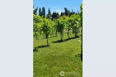 3601 214th Avenue E, Lake Tapps, WA 98391 - Photo 3
