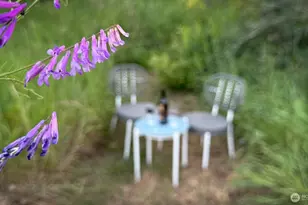 16743 Bucoda Hwy SE, Tenino, WA 98589 - Photo 39