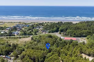 8 Biggs Ave, Pacific Beach, WA 98550 - Photo 1