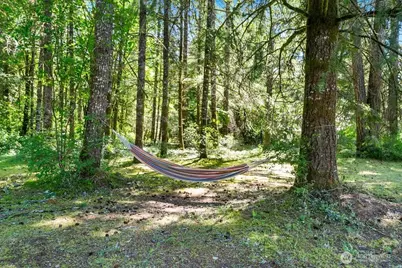 520 140th Avenue SW, Tenino, WA 98589 - Photo 29