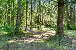 520 140th Ave SW, Tenino, WA 98589 - Photo 29