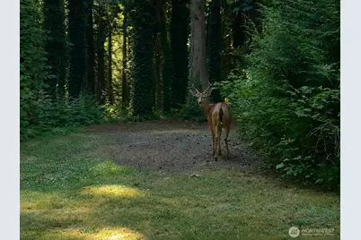 5618 NE Arrowhead Place, Poulsbo, WA 98370 - Photo 25