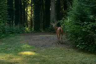 5618 NE Arrowhead Pl, Poulsbo, WA 98370 - Photo 25