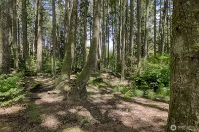 2782 State Rt 109, Ocean Shores, WA 98569 - Photo 39