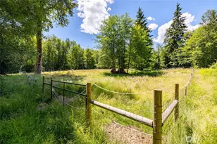2722 Butler Creek Rd, Sedro Woolley, WA 98284 - Photo 29
