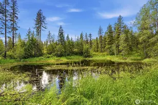 [Address not provided], Deer Park, WA 99006 - Photo 35
