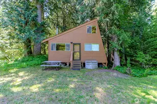 38115 564th St Ct E, Ashford, WA 98304 - Photo 25