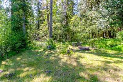 38115 564th St Ct E, Ashford, WA 98304 - Photo 27
