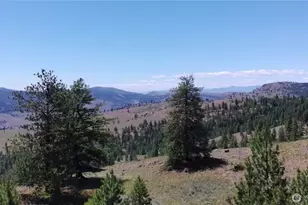 132 W Cayuse Mountain Rd, Tonasket, WA 98855 - Photo 19