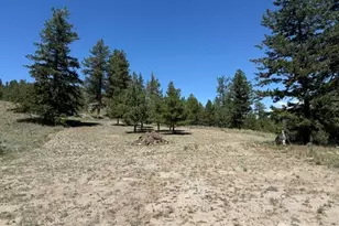 132 W Cayuse Mountain Rd, Tonasket, WA 98855 - Photo 23
