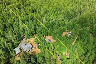 1090 NE Patton, Tahuya, WA 98588 - Photo 27