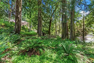 1701 Tower Road, Castle Rock, WA 98611 - Photo 19