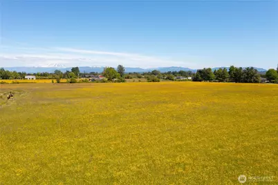 0 Elder Road, Ferndale, WA 98248 - Photo 3