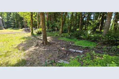 553 Upper Naselle Road, Deep River, WA 98638 - Photo 29