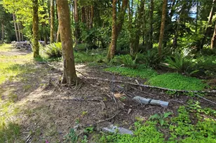 553 Upper Naselle Rd, Deep River, WA 98638 - Photo 29
