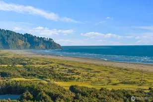 1211 Ocean Beach Blvd S, Long Beach, WA 98631 - Photo 39