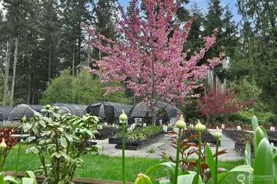 6545 Cultus Bay Road, Clinton, WA 98236 - Photo 37