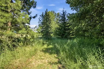 365 Black Bear Drive, Cle Elum, WA 98922 - Photo 13