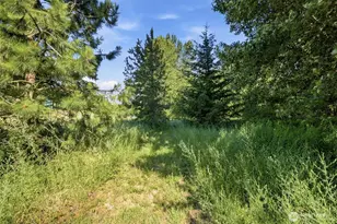 365 Black Bear Dr, Cle Elum, WA 98922 - Photo 13