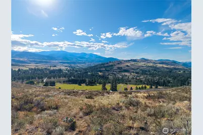 35 Chewuch Heights Road, Winthrop, WA 98862 - Photo 29