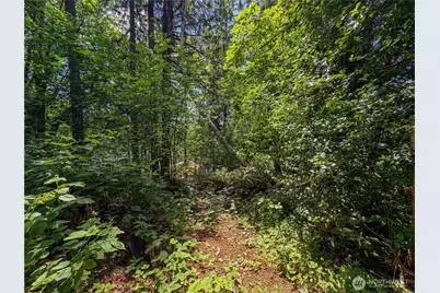 0 Lot 17 Panorama Drive, Shelton, WA 98584 - Photo 19