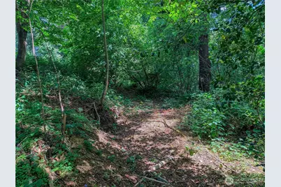 0 Lot 17 Panorama Drive, Shelton, WA 98584 - Photo 17