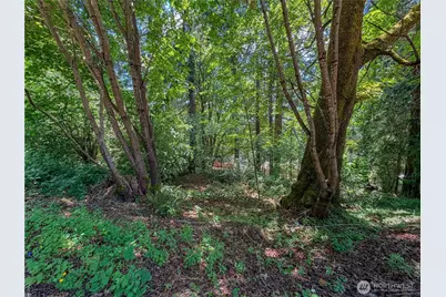 0 Lot 17 Panorama Drive, Shelton, WA 98584 - Photo 15