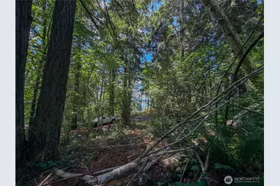 0 Lot 17 Panorama Drive, Shelton, WA 98584 - Photo 21